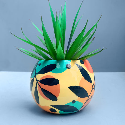 MATERA MEDIANA TÉCNICA BOTÁNICA