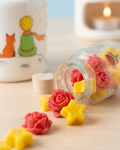 PEBETERO + WAXMELTS PRINCIPITO